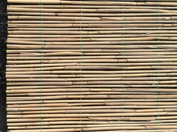 Thick Reed Fence