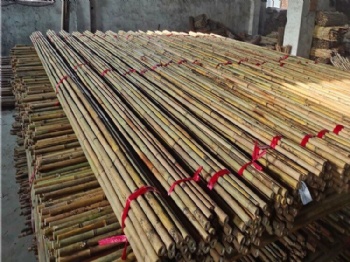Tonkin Bamboo poles