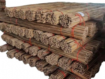 Tonkin Bamboo poles