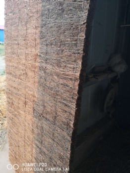 Brushwood panel