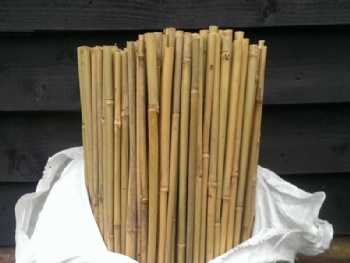 Tonkin Bamboo poles